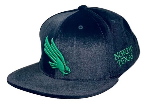 North texas mean - texas,
